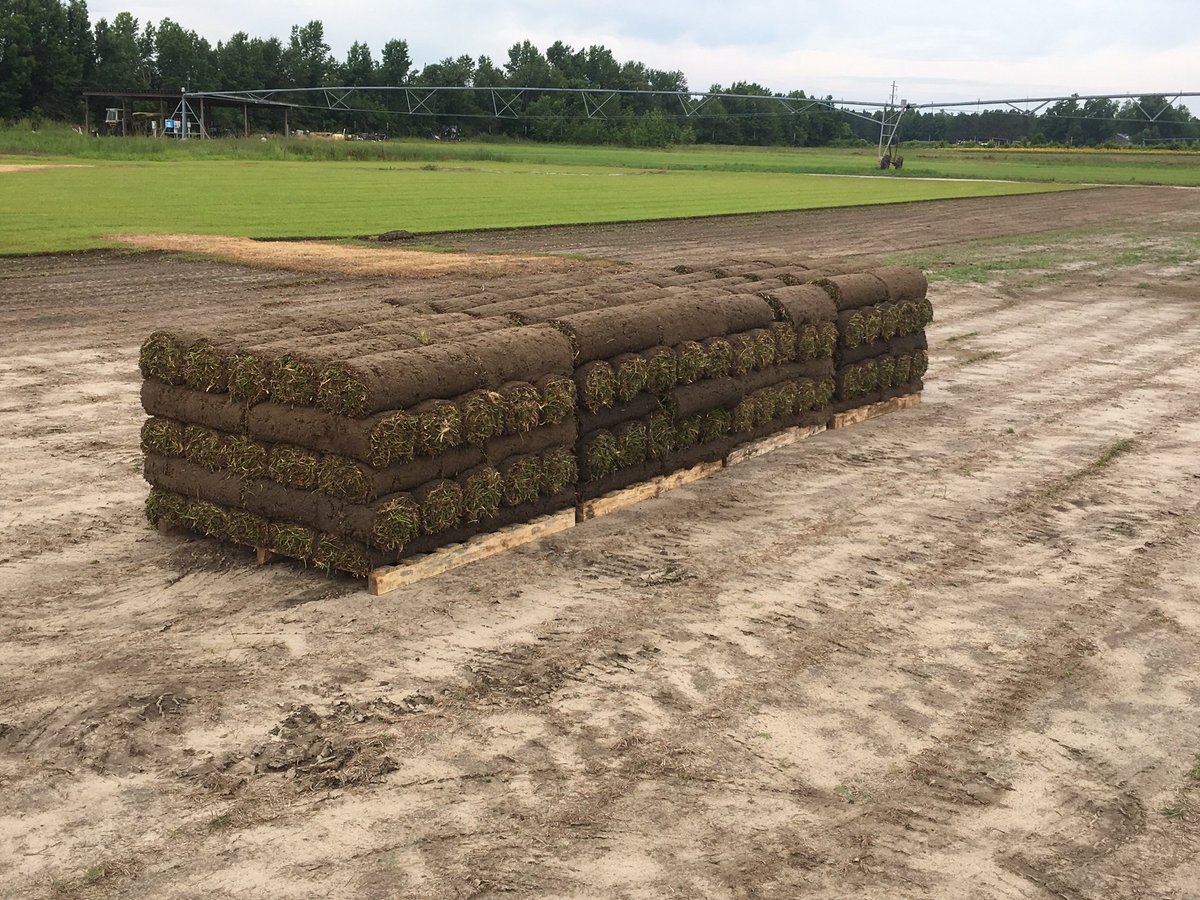 TrebroMfg's tweet photo. Perfectly stacked pallets at Carolina Turfgrass Sales and Landscape Supply, South Carolina using their new Trebro SC 2010 Roll. https://t.co/MVQIgRBw38