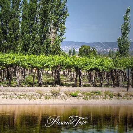 Quintessential Wines tweet media