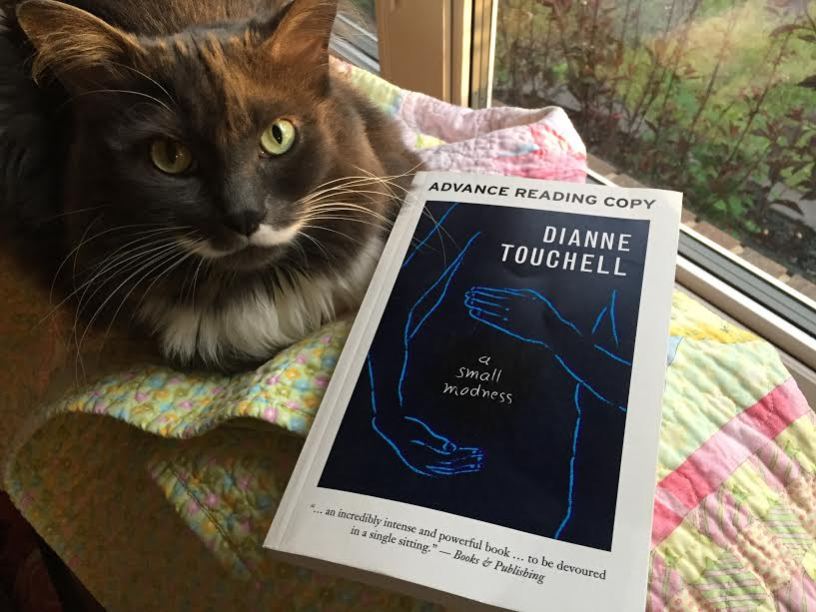Must Read A Small Madness by <a href="/DianneTouchell/">Dianne Touchell</a>  <a href="/HouseofAnansi/">House of Anansi Press</a>  #BookReview ow.ly/xKsV30cMKCF