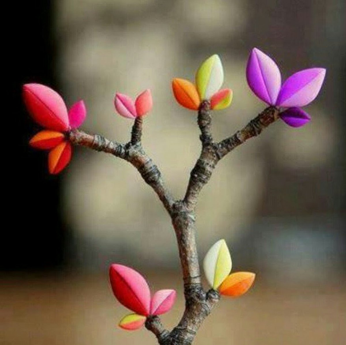 •Bir insanı tanımak istiyorsanız onu büyük bir mevkiye geçiriniz. 
La Bruyere