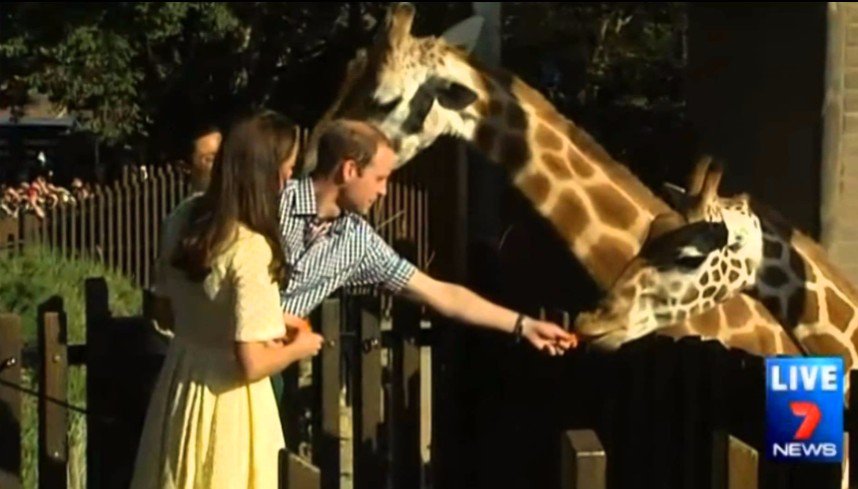  Happy Birthday
Prince William!
Turns 35 today 