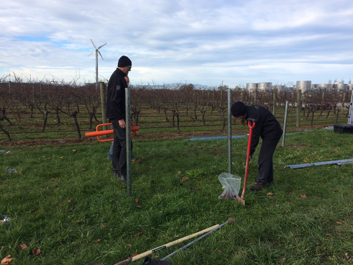 NZYoungVit tweet media