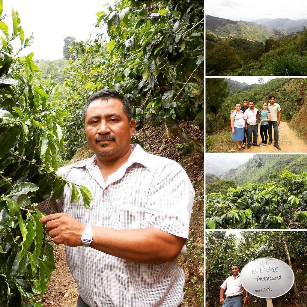 cupofexcellence's tweet photo. With our upcoming auction, we would like to take second and feature winning farmers. Meet Oscar Daniel Ramirez Val… https://t.co/KVxgValFEN https://t.co/UhFkw6FWWF