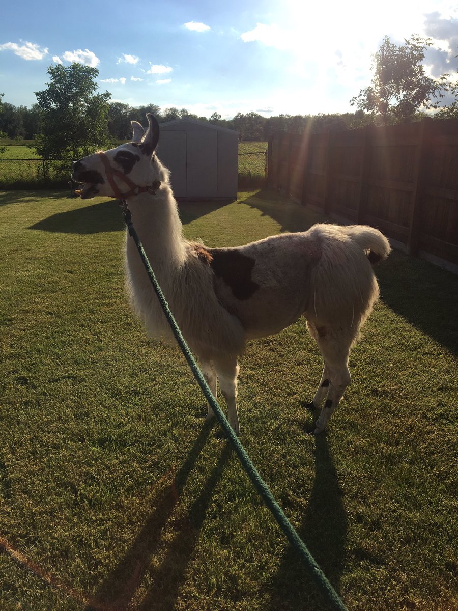 JessBenham tweet media