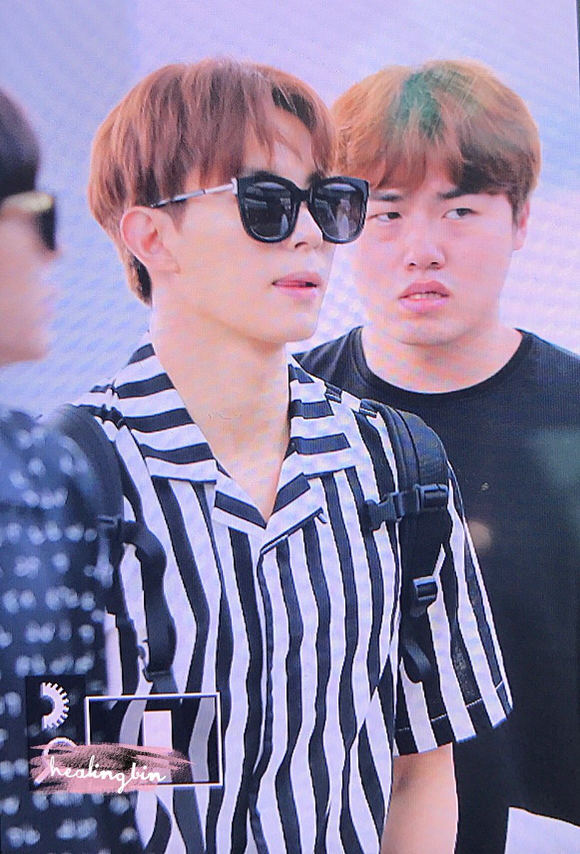 힐링빈 tweet media