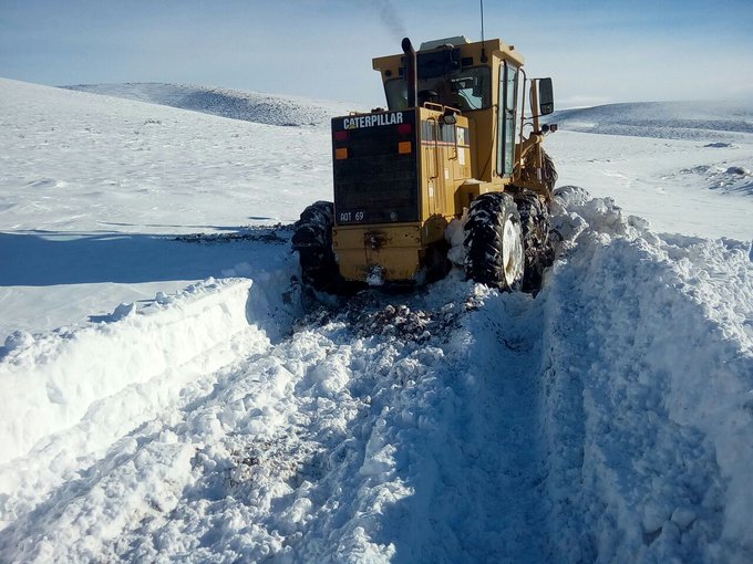 Ver imagen en Twitter