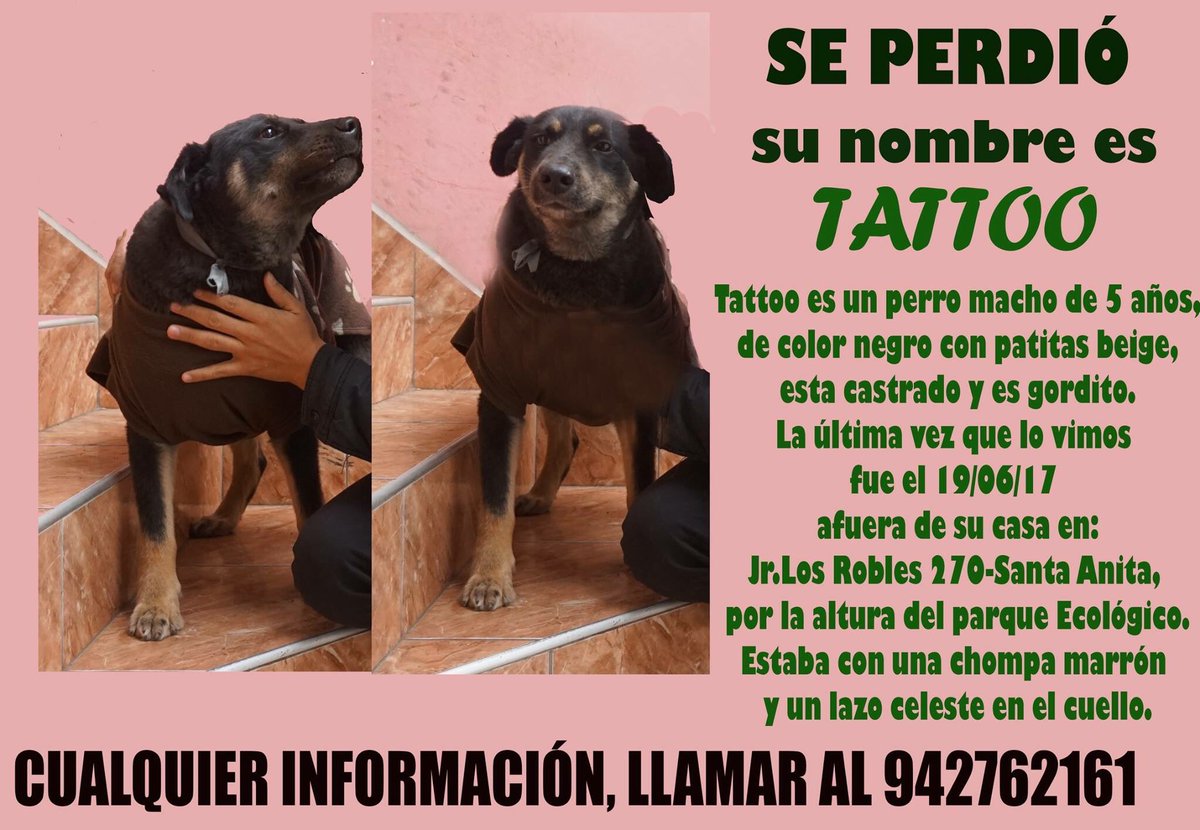 estiloyesoteris's tweet image. A la vida le digo #devuelvepues a mi Tatttoo, mi perrito se perdió el  domingo, please RT @Studio92 @ChinoyAdolfo