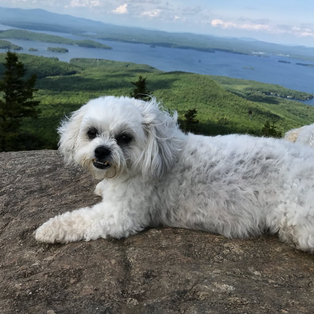 #NewProfilePic