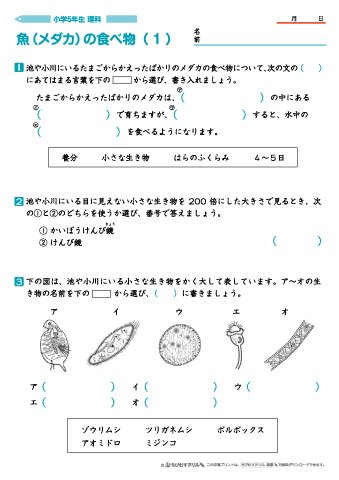 ちびむすドリル 作成 追加しました 小５理科 魚 メダカ のたまご 問題プリント 5枚 T Co Dw0wq4usep 魚 メダカ の食べ物 問題プリント 4枚 T Co Kujzefkjqy