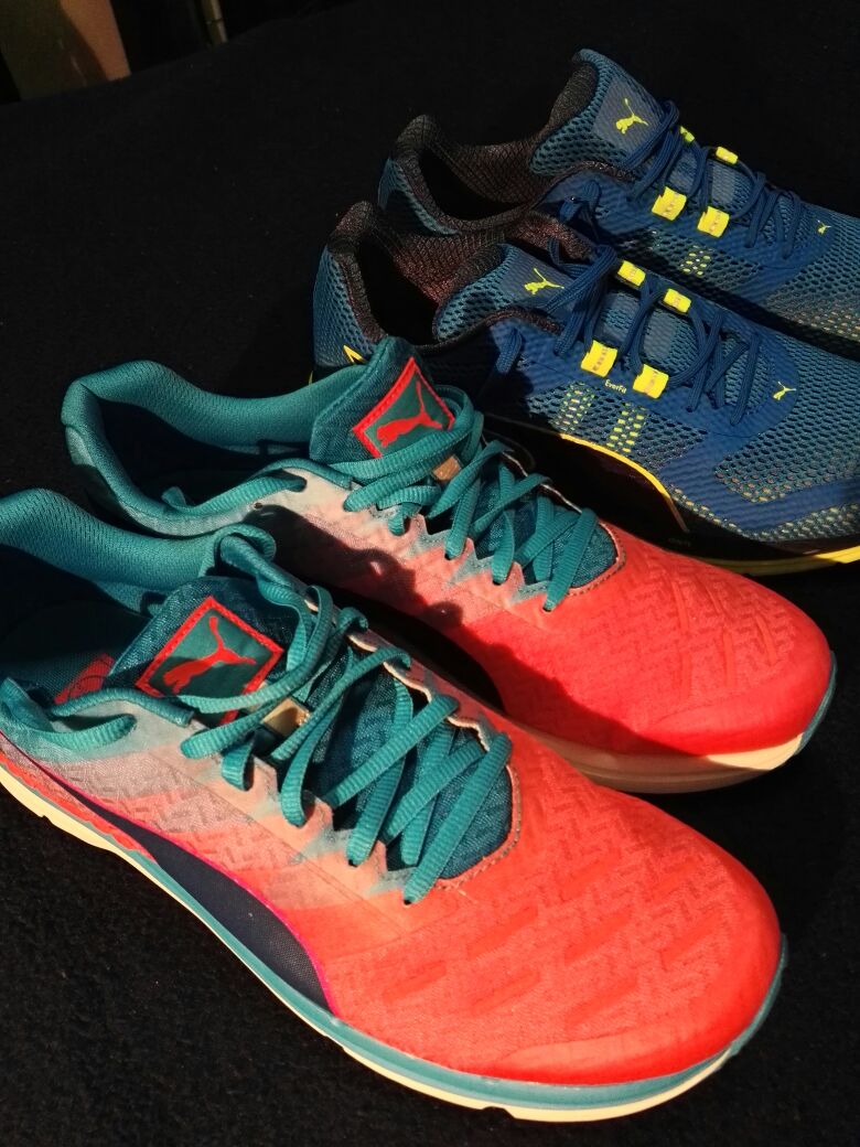 Forever faster towards World Champs... I just became a cat person! #puma #foreverfaster #speedignite #triathlon #swimbikerun #worldchamps