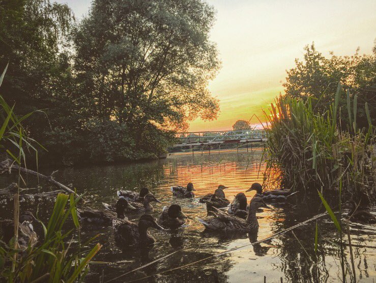 TomVoza's tweet photo. Mam ten nejhezčí výhled ze zahrady 👀☀️🌥👌 #rehacka #lysanadlabem https://t.co/3Q0d04tn0E