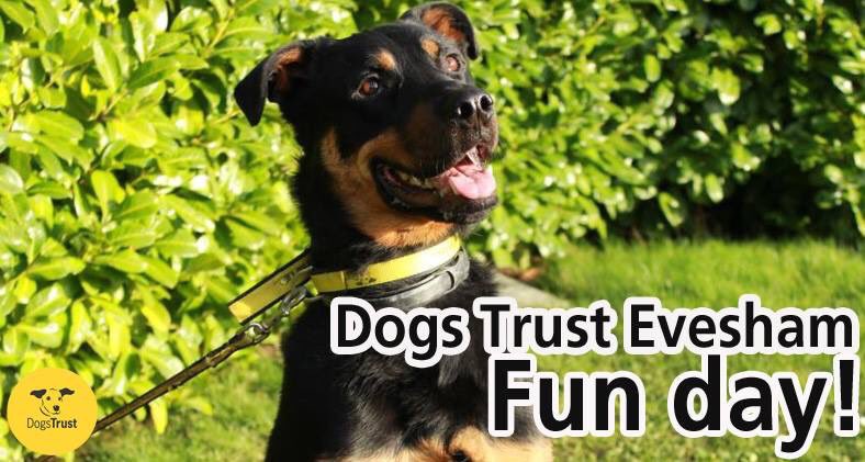 We'll be at @DogsTrust Evesham's Fun Day on #Sunday at #StratfordRacecourse from 11am till 4pm🐾 #fundogshow #AdoptDontShop #smallbiz