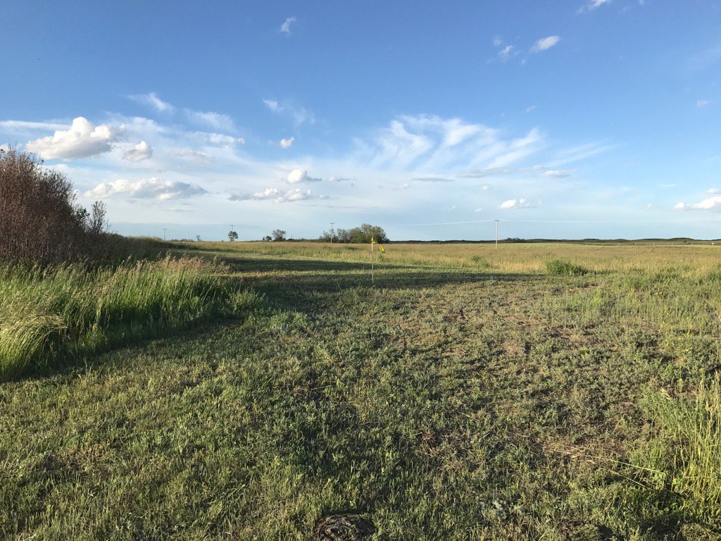 ldobranski's tweet photo. The grass is mowed at the @MeewasinARS @VE5AA #fieldday site.  Operating #VE5RAC &amp; #VE5AA GOTA. #racfd #arrlrd in SK. https://t.co/4CpVyBE0Uv