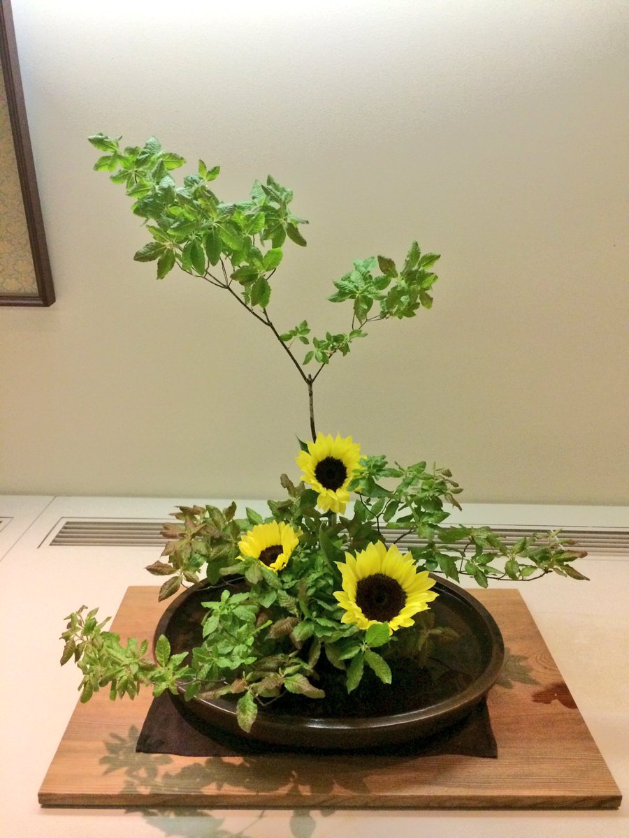 徳川美術館かろやかツイート على تويتر 今週の花は アブラドウダンと向日葵です 5月にご紹介したドウダンの漢字 覚えていますか 満点星と書いてドウダン 夏に輝く太陽と星の生け花です 徳川美術館の花