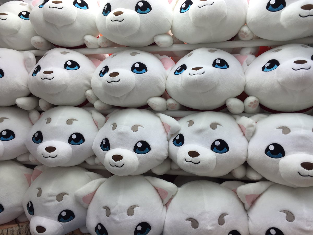 タイトーステーション柏店 新景品っ ᶿ ധ ᶿ 銀魂 めちゃでか定春ぬいぐるみ さだはるめちゃくちゃかわいいですよ 抱っこできる定春 良きですね プライズ 定春