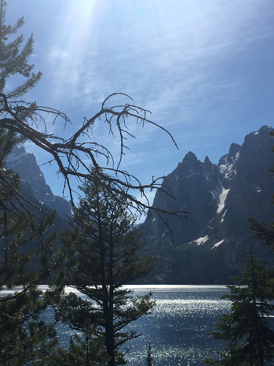 MaryConibear's tweet photo. No words necessary
#wyomingbeauty #grandtetons #nofilter #roadtrip #whereistheselectmultiples https://t.co/WD9GTbbZVN