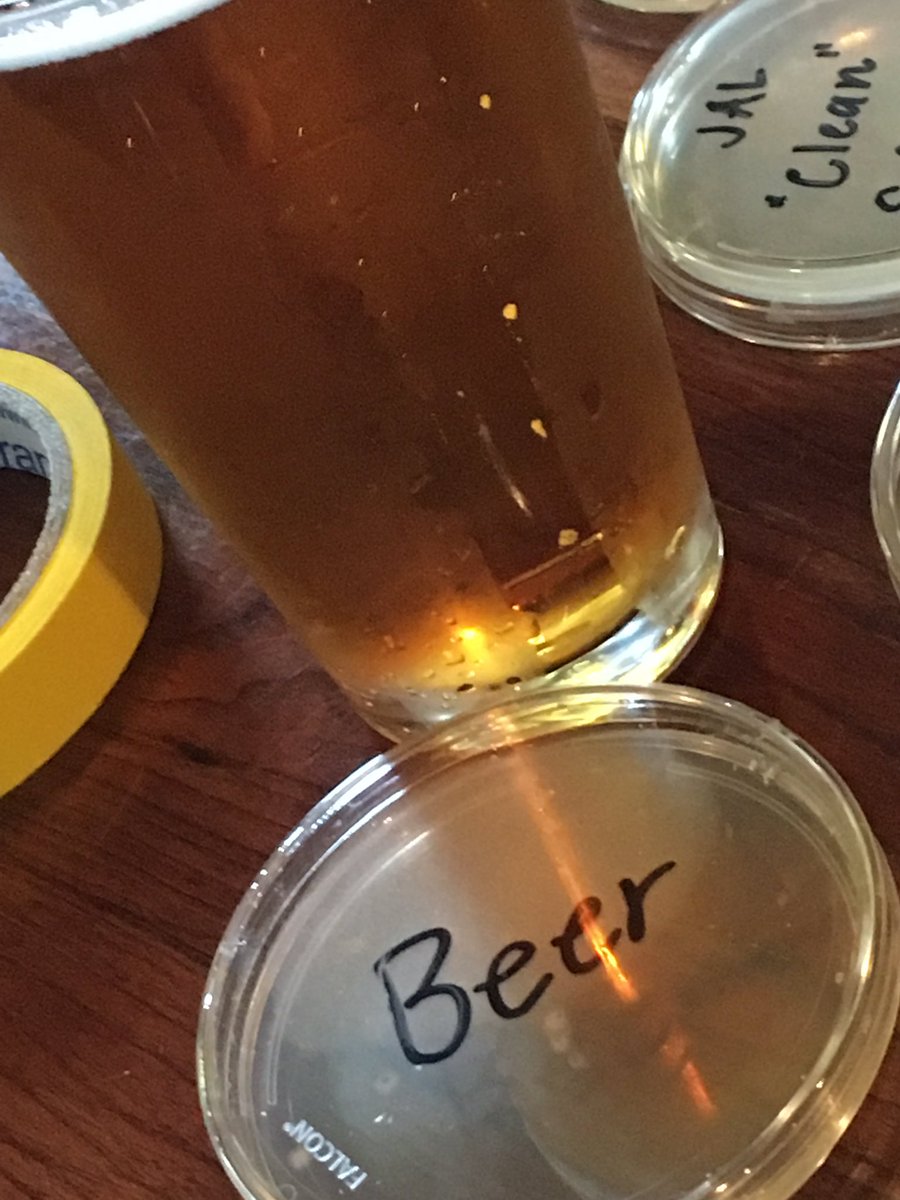 SMUD_MOSAC's tweet photo. Fun with rubber gloves and Petri dishes. Cultures collected at tonight's #sacsciencedistilled. We'll be watching samples for microbe growth! https://t.co/nIjB6Wr0J6
