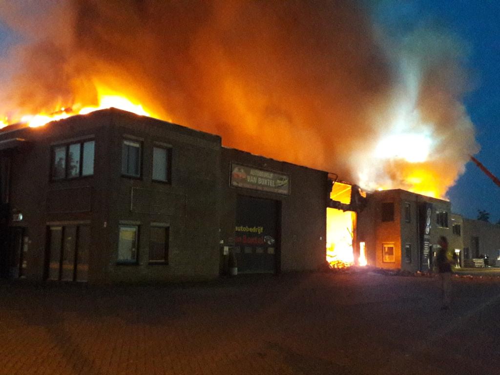 Anneke Liebrand tweet media