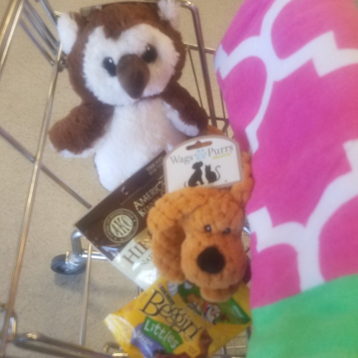 fallonzoey's tweet photo. ....and stuff for my dog! I love @RuggedWearhouse https://t.co/nZem8QfvY5
