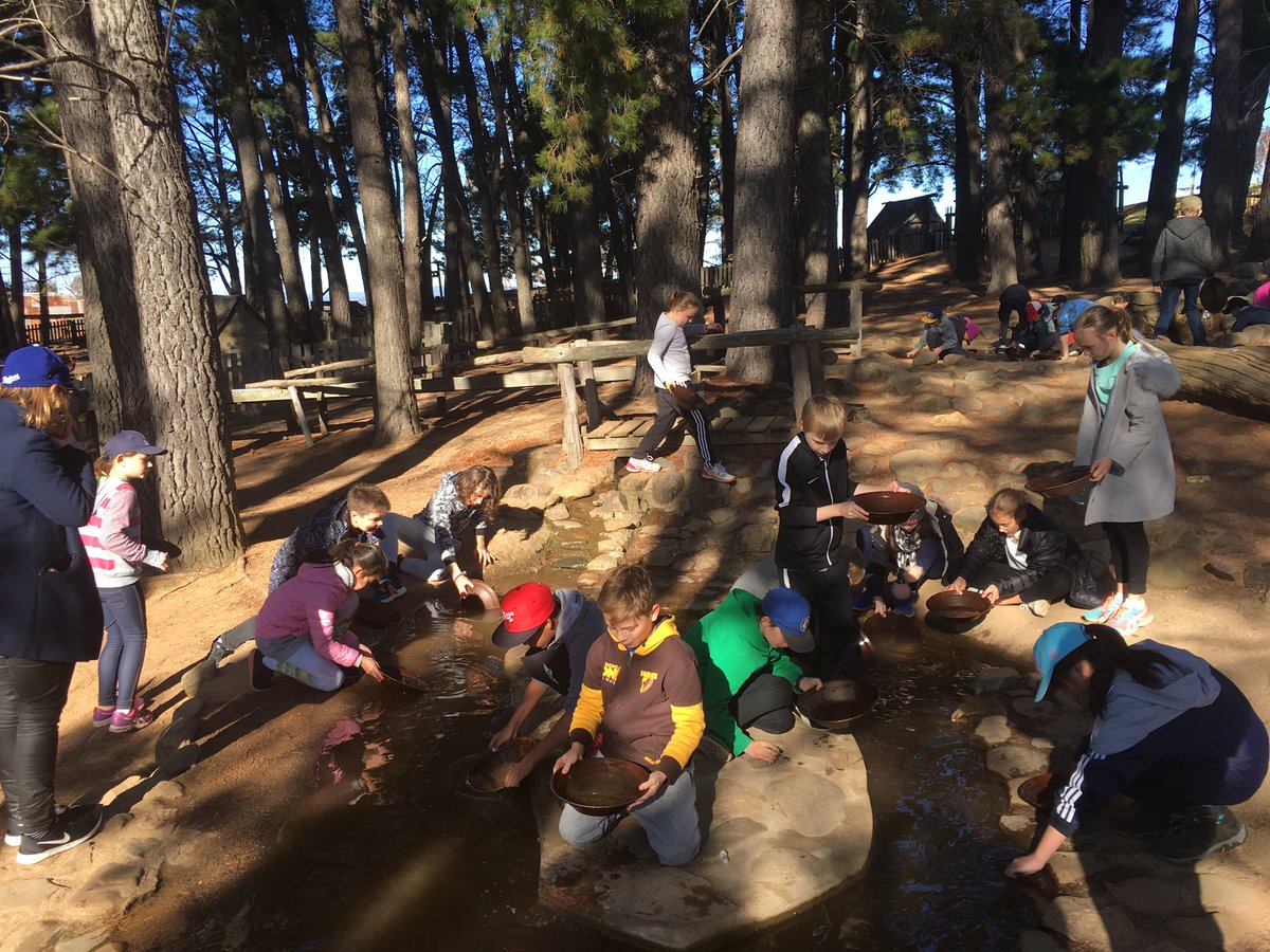 cammeraypublic's tweet photo. Hoping to strike it rich! Time for some gold panning #goldpanning #bathurstgoldfields #year5camp https://t.co/bxPjgezz3g