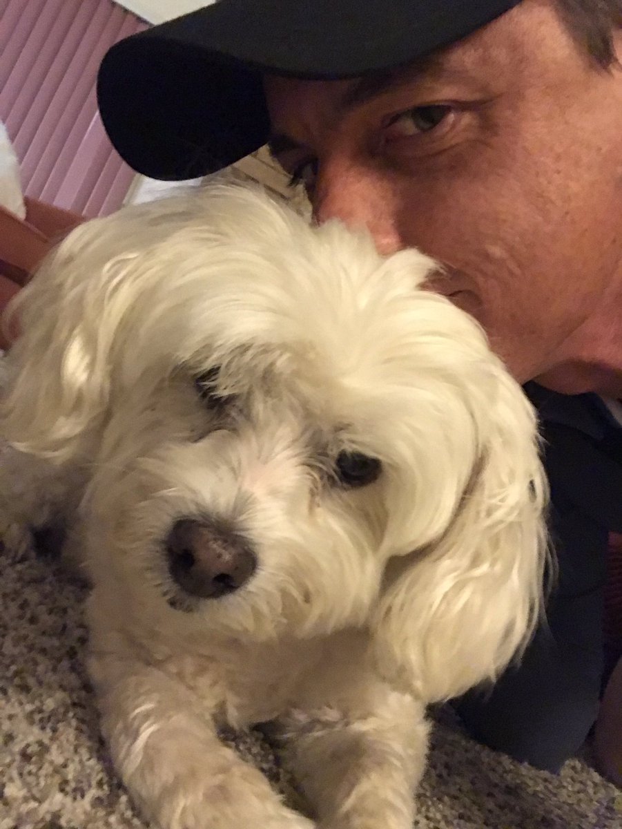 brosecki's tweet photo. @dog_rates Smart dog, managed to wait until we both made eye contact with the computer phone to paw the shutter. https://t.co/rmL63O7AyR