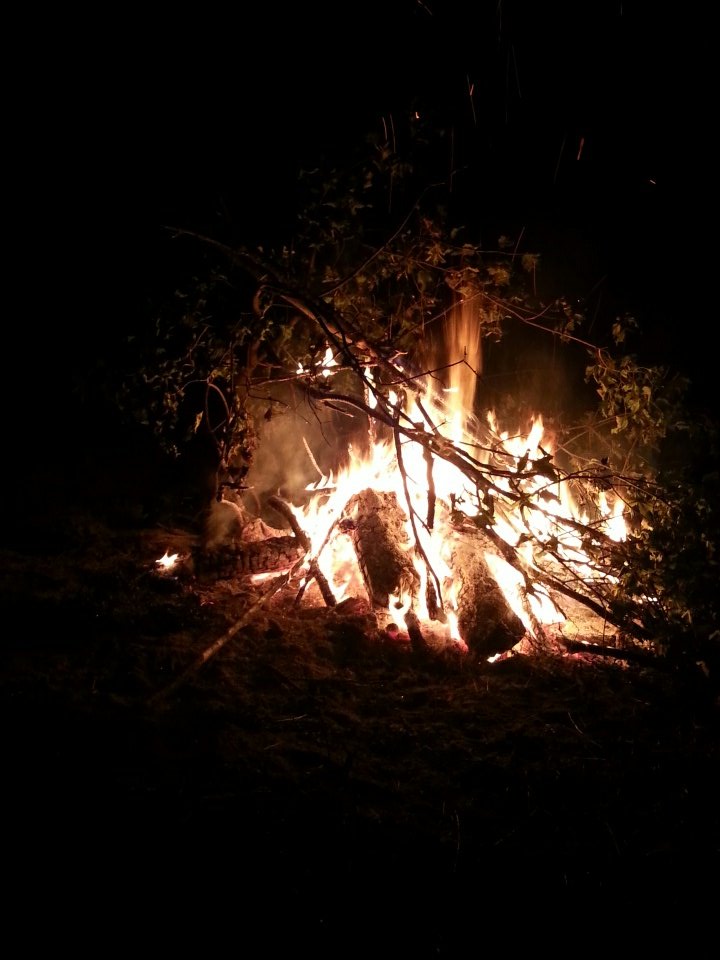 snowQN30's tweet photo. #lightshitup #summer https://t.co/vS7CYAe6OE