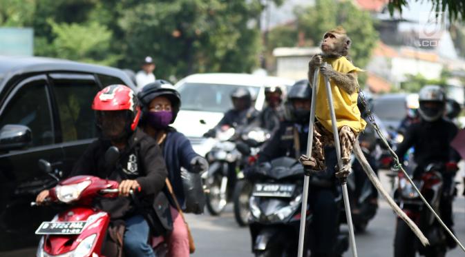 liputan6dotcom's tweet photo. Topeng Monyet Hibur Pemudik di Jalur Pantura Brebes https://t.co/aTW4Wq6vQ8 https://t.co/gpk5PFHqKi