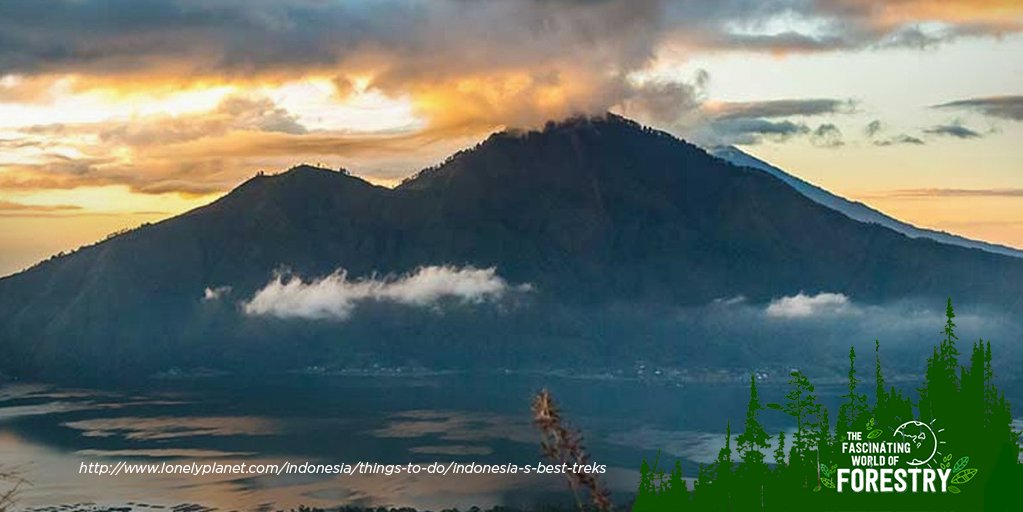 worldofforestry's tweet photo. The natural wonders in Indonesia make it ideal for hikers. Find out more here: https://t.co/ji0MxmjuhT. #worldofforestry https://t.co/NgRmaqX8HA
