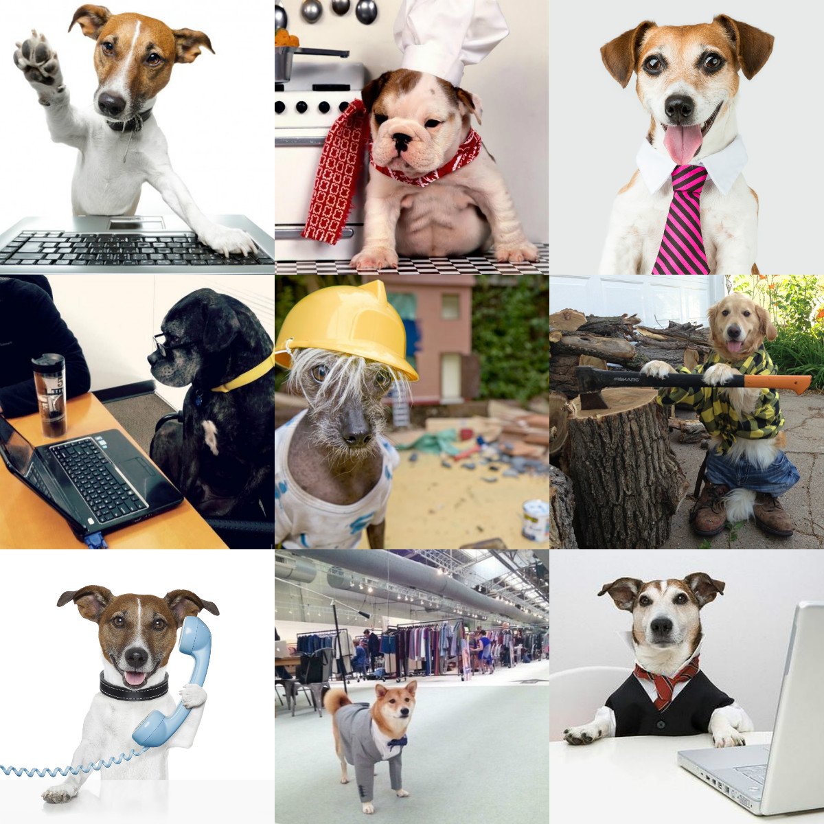 TheSandK's tweet photo. Tomorrow is #BringYourDogToWorkDay so we'll have a furry little friend joining us all morning. Will you be taking yours to work too? 🐶🐩🐕 https://t.co/QpzIOxUySd