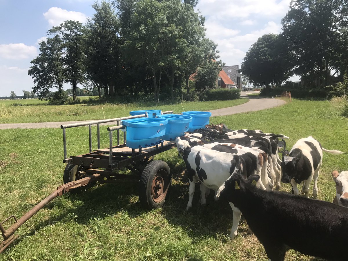 Jaring Brunia tweet media