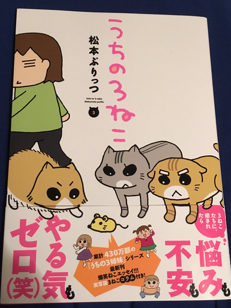 綾部海 割と前に読了 鬼灯の冷徹 24巻 江口夏実 スキップ ビート 40巻 仲村佳樹 うちの3ねこ 3巻 松本ぷりっつ ちはやふる 1 34巻 末次由紀