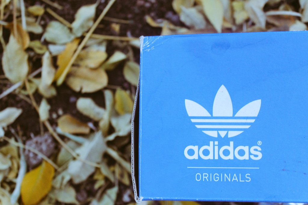 Lapologang1's tweet photo. To all Adidas lovers. #Adidas #Rubble #WinterLeaves #LapsPhotography #Maftown. 'Goodness in the Rubble'. A leave amongst others. https://t.co/m167qJAaJL