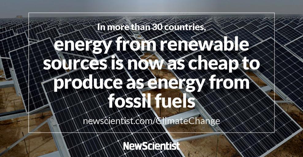 newscientist tweet picture