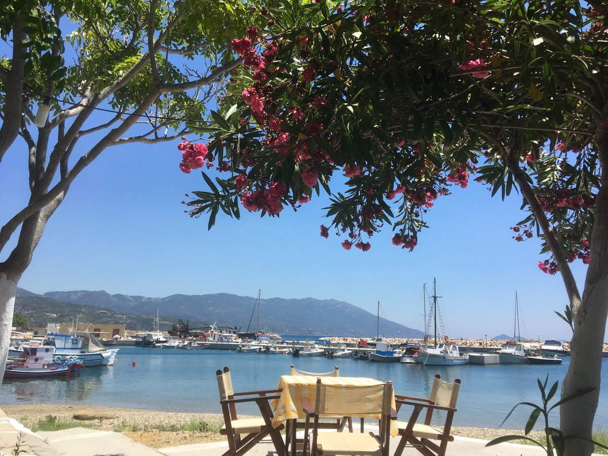 Sarah404BC's tweet photo. #Thankyou #KerkisBayHotel #Ormos #Samos. Great view, food, hospitality, tranquility https://t.co/DKnBxBcSjw
