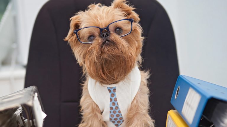 Work Minds tweet media