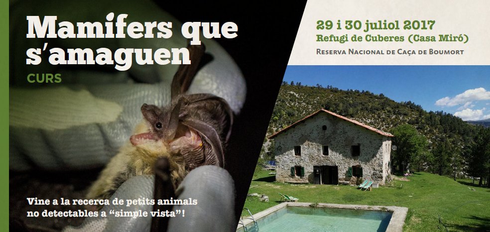 ctforestal's tweet photo. Vine a descobrir els #mamífers que s'amaguen a l'entorn del refugi de cuberes, al cor de la reserva de #Boumort! https://t.co/jueEK9ihYp https://t.co/2OwM4YOzdY