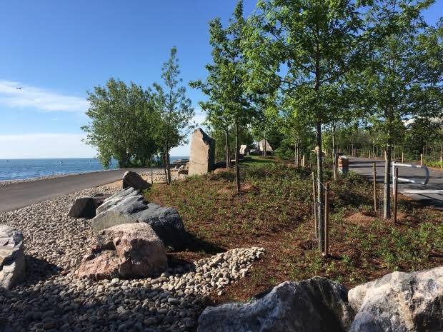 Raymond_NL's tweet photo. The new green space at #OntarioPlace is absolutely beautiful with a great view of the city! #TrilliumPark #WIlliamDavisTrail #TribeFitness https://t.co/VTuSHw49Qb