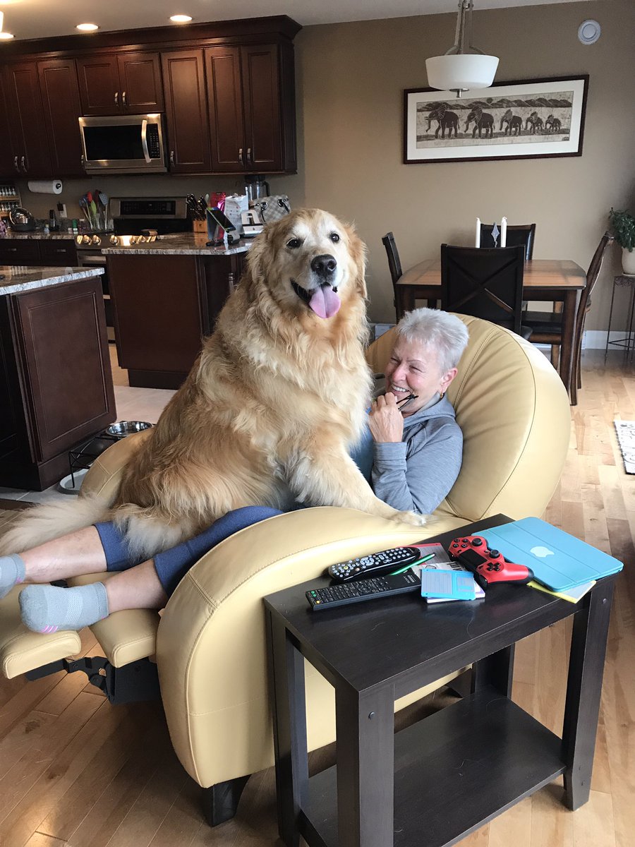 lynn2wine's tweet photo. But MUM!!! I got SO excited about Grandma 👵🏼 being here that I couldn't help myself: I jumped right up on the couch 😳🙊🙈😂😂😂😂😂😂😂 https://t.co/d8jmYIJK1G
