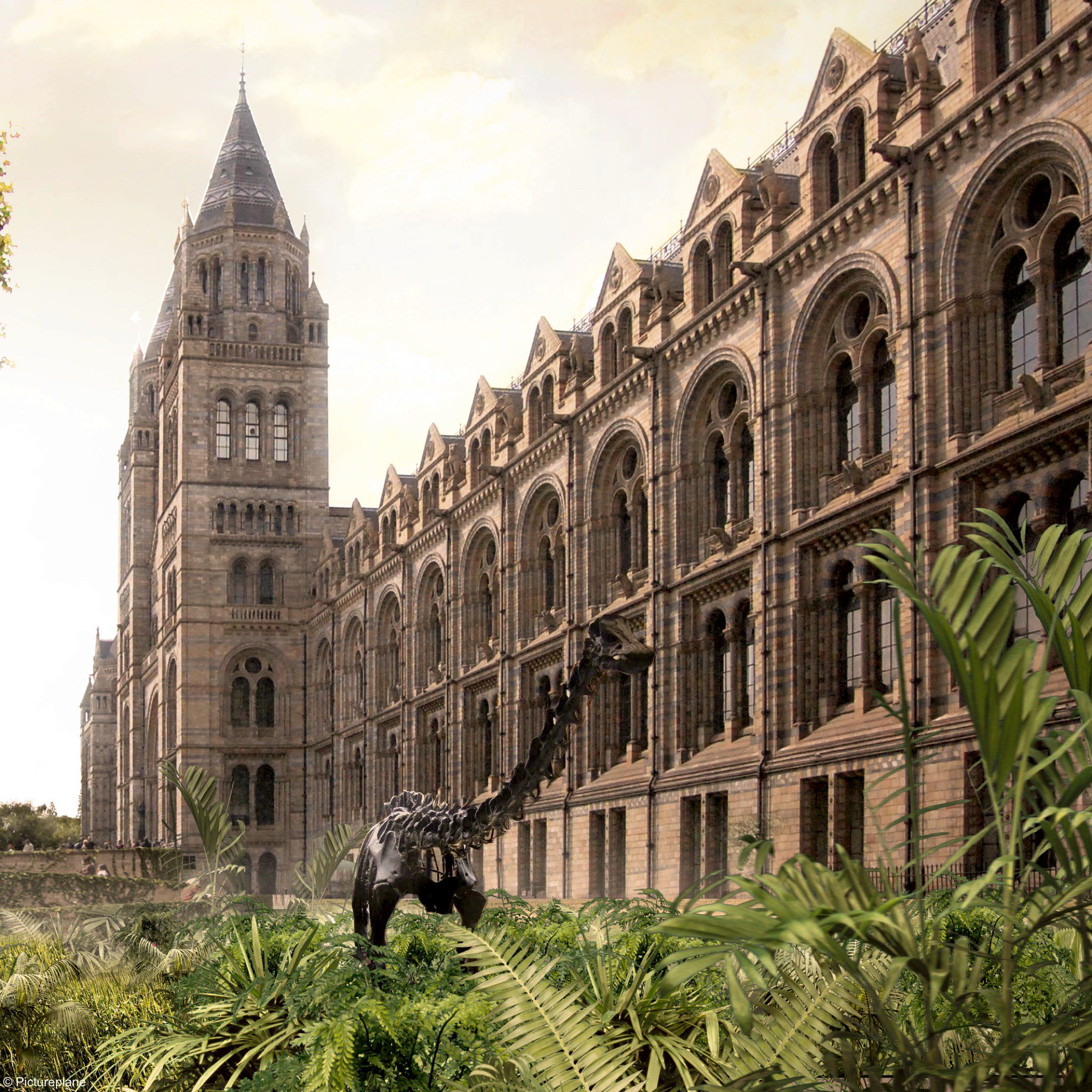 Natural History Museum on Twitter Natural History Museum on Twitter