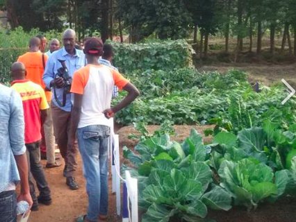 VDS_ACAMPO_BV's tweet photo. Kuva kuri uyu wa 22-25/06/2017 HGT (0781449656) turaba turi mu imurikagurisha ry'ubuhinzi #SoilAnalyses #Seeds #Irrigation #PestControl. https://t.co/takJhfZs4T