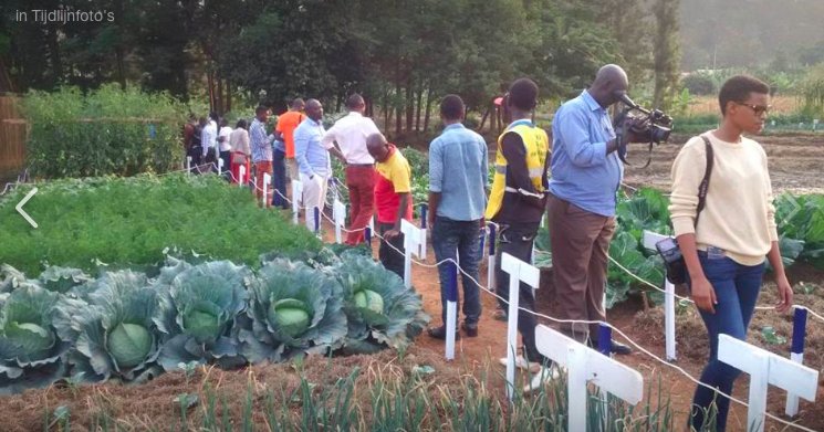 VDS_ACAMPO_BV's tweet photo. Kuva kuri uyu wa 22-25/06/2017 HGT (0781449656) turaba turi mu imurikagurisha ry'ubuhinzi #SoilAnalyses #Seeds #Irrigation #PestControl. https://t.co/takJhfZs4T