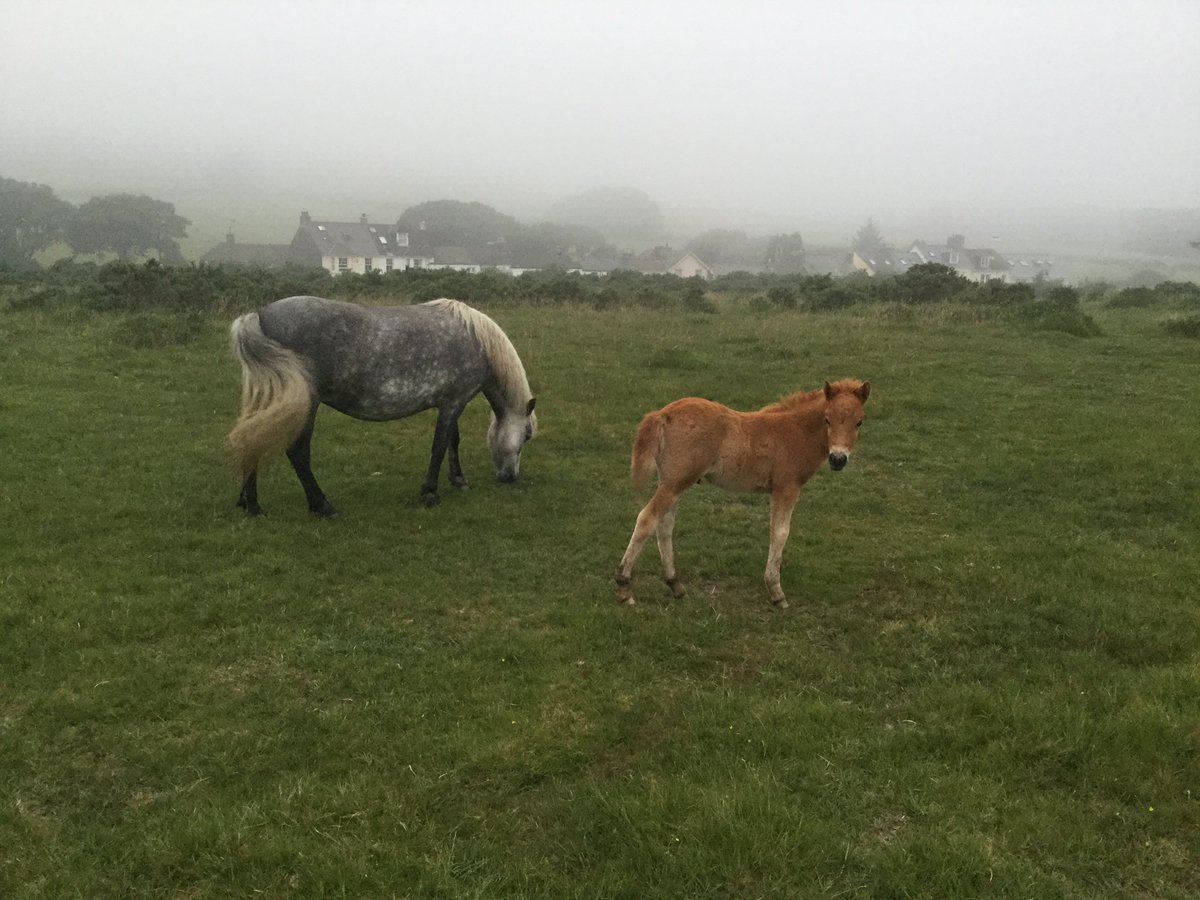 nichifinn's tweet photo. Looking forward to taking #EOE2017 delegates to #dartmoor next week #atmospheres @MarjonUniOAE @marjonuni @amind4adventure @CathyhCoaching https://t.co/NysrR9Cms4