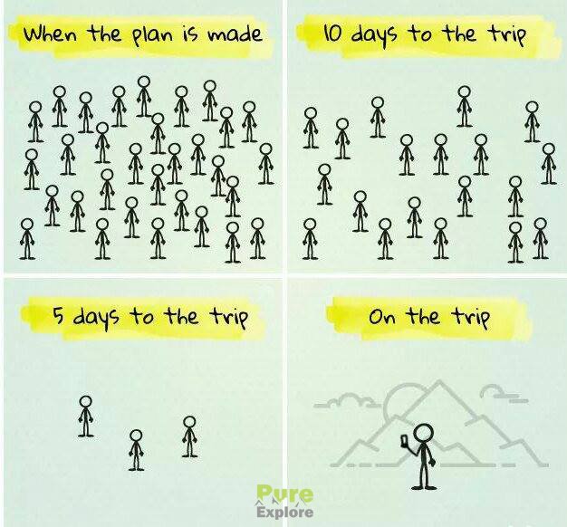 Pure Explore tweet media