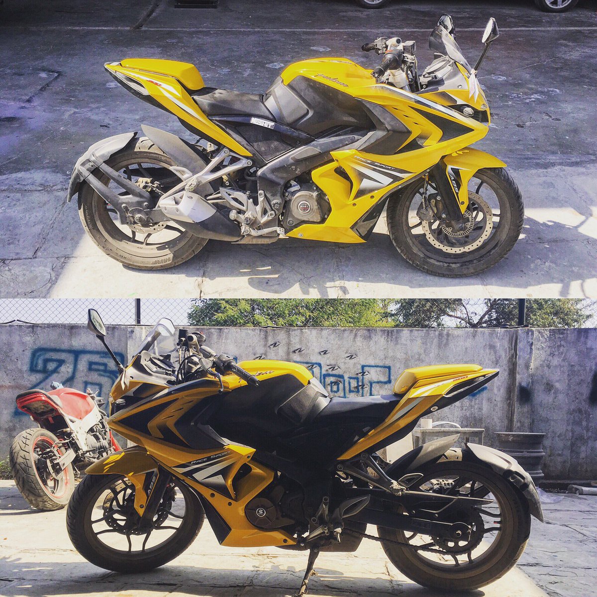 AutologueDesign's tweet image. Ride Solo and look slick 😎
#custombelly #pulsar200rs #bajajpulsar #autologuedesign #bajajindia