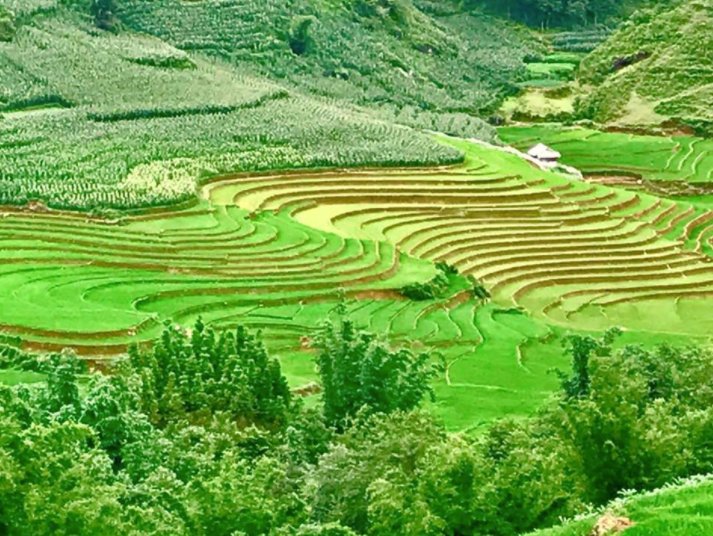 escuelatai's tweet photo. La crew de fotografía y cinematografía de @escuelatai llegó a Sapa desde Hanoi! Convertir nuestra pasión en nuestra profesión es posible. https://t.co/PnvFCO9RF4