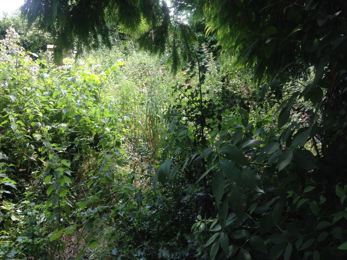 MJWProperty tweet picture