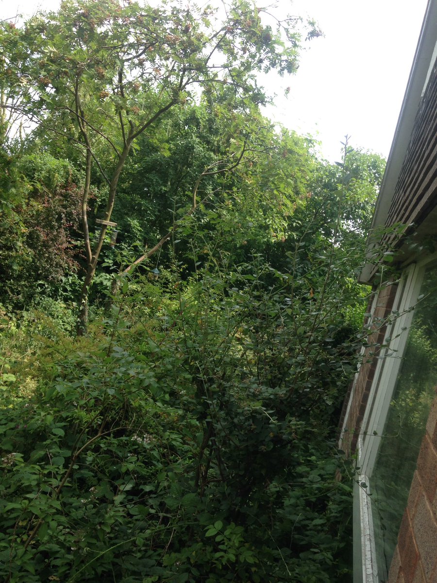 MJWProperty tweet picture