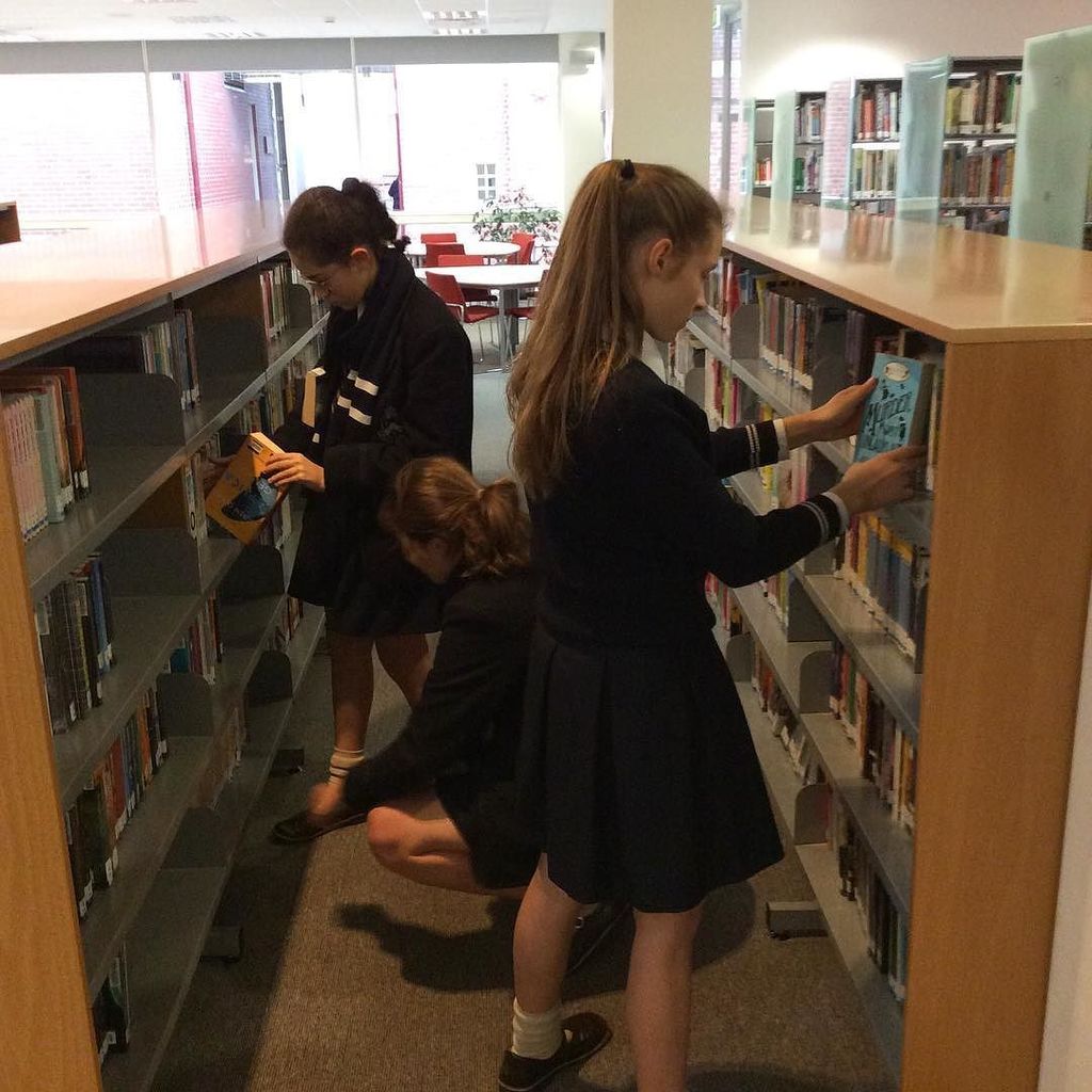 MGGS_Library's tweet photo. Our senior students browsing the #fiction collection. Time to find some #holidayreading @OliverBooks #librariesofi… https://t.co/KETdMwkNs6 https://t.co/OfCfNTCKuT