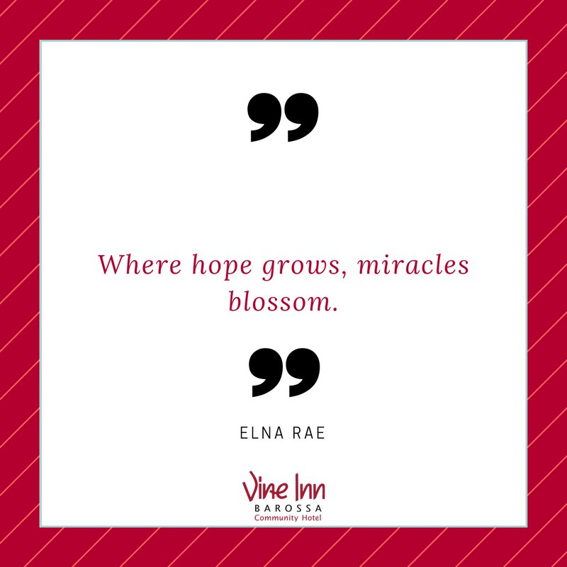 Thursday Inspiration!

#hope #blossom #inspiration #elnarae
