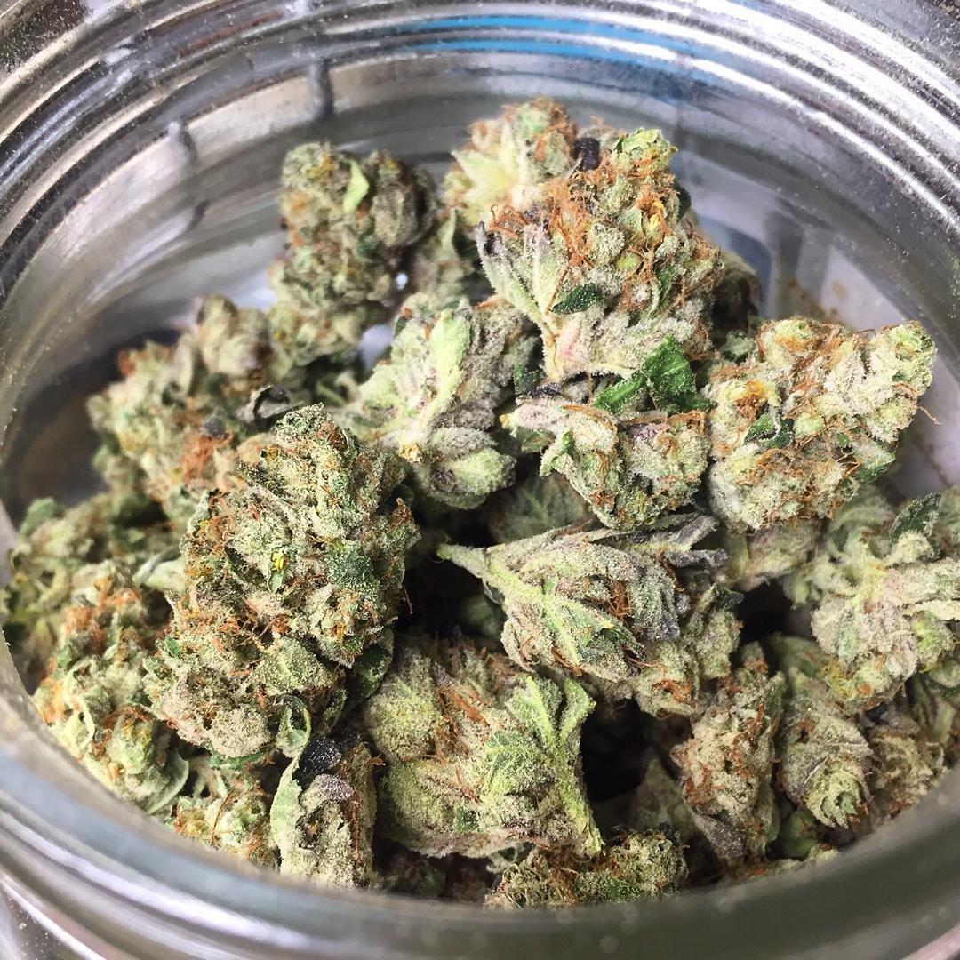 WorldOfSeeds's tweet photo. #GoodMorningWorld #WildThailand nugs from #PureOriginCollection #WOS https://t.co/CAtsxnjm64